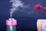Sử dụng tinh dầu không hẳn đã tốt cho người già và trẻ nhỏ như bạn nghĩ