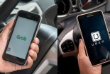 Bộ Giao thông yêu cầu xe Uber, Grab dán logo: Tài xế nói gì?