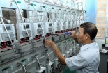 Kiểm định gần 60.000 phương tiện đo, tiêu hủy hàng nghìn tem nhãn sai quy định