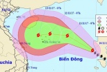 Đường đi của cơn bão số 13 Haikui