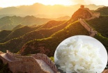 Sốc: Khoa học tìm ra lý do xây Vạn Lý Trường Thành 'ngàn năm không đổ'