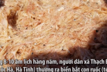 Đi cà kheo bắt ruốc biển thu tiền triệu mỗi ngày