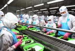  Doanh nghiệp tư nhân trước yêu cầu đổi mới mô hình tăng trưởng, nâng cao năng suất