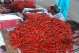 Ớt của bầu Đức xuất khẩu, lên kệ siêu thị ở Trung Quốc