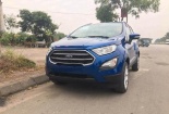 Bất ngờ xuất hiện tại Việt Nam: Ford EcoSport 2018 đẹp hút mắt người nhìn