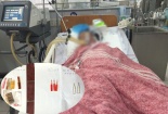Cảnh báo ngộ độc thuốc diệt chuột đã bị cấm lưu hành ở Việt Nam