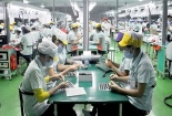 Từ 1/1/2018, nhiều luật và bộ luật quan trọng có hiệu lực