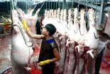 Hà Nội: Kiểm soát chặt các cơ sở giết mổ động vật và sử dụng chất cấm Salbutamol