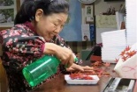 Vì sao chỉ nhờ bán lá cây, cụ bà lại kiếm ‘khủng’ 52 tỷ đồng/năm?