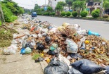 Phát hiện 187 'điểm đen' về ô nhiễm môi trường