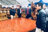 Choáng sập gỗ cẩm lai nguyên khối dài 6.6m giá 3 tỷ đồng tại Hà Nội