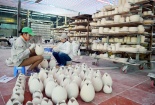 Doanh nghiệp tiên phong nâng cao năng suất lao động, chất lượng sản phẩm
