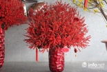 Bình hoa nhập từ Mỹ, Hà Lan đại gia Việt mua giá trăm triệu đẹp cỡ nào?