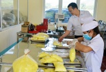 Nghị định 15 và những điều doanh nghiệp cần 'khắc cốt ghi tâm' 