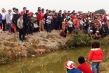 Thực hư 'cá thần' được người dân Nghệ An đồn thổi