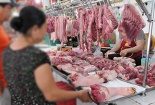 Giá cả thị trường ngày 24/2: Giá lợn hơi tại miền Bắc tăng nhẹ ở một vài địa phương 