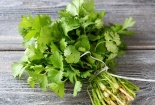 Phát hiện những mối nguy hiểm tiềm ẩn trong rau mùi, mùi tây, húng quế