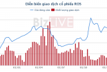ROS lên kế hoạch trả cổ tức 20% năm 2018
