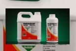 Ngộ độc thuốc diệt cỏ Paraquat không ngừng tăng dù đã bị cấm, lỗ hổng ở đâu?