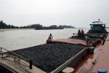 Quảng Ninh: Bắt giữ tàu vận chuyển 1.000 tấn than có dấu hiệu vi phạm