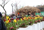 Hội xuân Mở cổng trời Fansipan - 'chuyến hành hương' ấn tượng