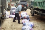 Thu giữ lượng lớn mũ bảo hiểm không rõ xuất xứ đi tiêu thụ