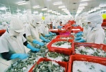 Việt Nam thể hiện nhiều nỗ lực, EU vẫn để ngỏ khả năng rút lại 'thẻ vàng'