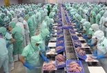 Kiểm soát chặt chất lượng, không để thủy sản xuất khẩu bị trả về