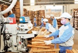 Tuyên Quang: Tín hiệu tích cực từ chương trình nâng cao năng suất, chất lượng