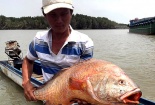 Vũng Tàu: Ngư dân bắt được cá lạ hơn một mét, nặng 9kg nghi sủ vàng tiền tỷ