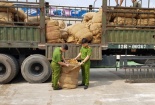 Bắt giữ xe ô tô vận chuyển 8.764 kg thuốc lá sấy khô không rõ nguồn gốc xuất xứ
