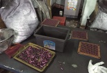 Hải Phòng: Phát hiện thuốc trị ung thư làm từ bột than tre