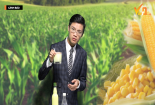 Bản tin Cảnh báo chất lượng: Sữa ngô từ hóa chất, người tiêu dùng cần cảnh giác