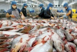 EU rút 'thẻ vàng' đối với thủy sản - Phải thích nghi các tiêu chuẩn cao