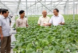 Sản xuất nông nghiệp hữu cơ - Vẫn còn đi qua 'khe cửa hẹp'