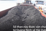 Cảnh sát biển bắt giữ tàu chở 1.200 tấn than không nguồn gốc