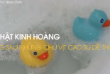Sự thật kinh hoàng ẩn chứa bên trong những chú vịt cao su dễ thương