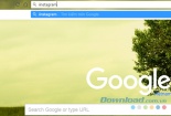 Thủ thuật xử lý lỗi gõ tiếng Việt trên thanh địa chỉ Google Chrome 