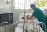 Nổ bình gas khi đang nấu ăn, thai phụ cùng con gái bị bỏng nặng