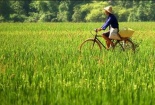 ‘Bỏ túi’ kinh nghiệm du lịch Mai Châu Hòa Bình giá rẻ cho năm 2018