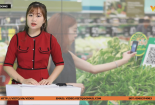 Bản tin Tiêu dùng: Ra mắt phần mềm quét mã vạch chính thống phục vụ người tiêu dùng