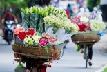 Mùa sen Hà thành - gánh hàng rong kiếm tiền triệu mỗi ngày nhờ thú chơi tao nhã