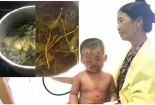 Nguy cơ trẻ nhỏ bị nhiễm trùng, viêm loét vì tắm lá dại trị mẩn ngứa
