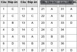 Đáp án môn Lý mã đề 206 THPT Quốc gia 2018 chuẩn nhất