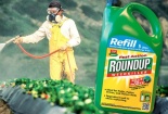 Vụ kiện thuốc diệt cỏ Roundup của Monsanto sẽ được xét xử tại Mỹ