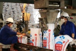 Thúc đẩy xã hội hóa xây dựng tiêu chuẩn, quy chuẩn kỹ thuật