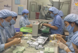 Doanh nghiệp cần áp dụng công cụ cải tiến nâng cao NSCl như thế nào?