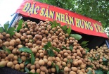 Sự thật đằng sau quả 'nhãn lồng Hưng Yên' đang bày bán nhan nhản ở Hà Nội 