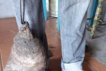 Phát hoảng khi đào trúng củ khoai tây ‘khủng’ 8kg có hình dạng như bàn chân 6 ngón