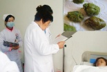 Ăn chay để giảm cân cô gái nhận 'cái kết đắng' phải cắt túi mật
